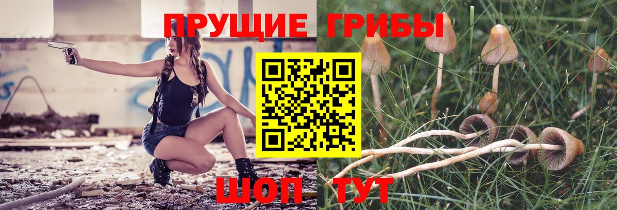 Псилоцибиновые грибы прущие грибы  Вход с VPN  Холмск  Галлюциногенные грибы мухоморы 